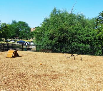 New dog park